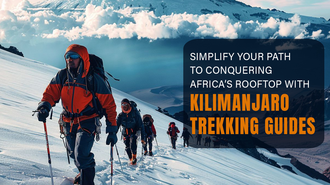 kilimanjaro trekking guides