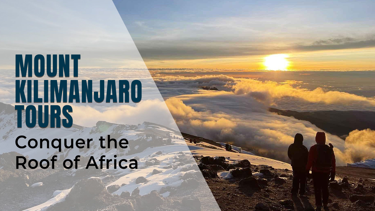 Mount Kilimanjaro tour